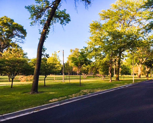 New Park Shot July 2016